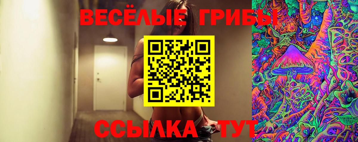 Галлюциногенные грибы мицелий  Вход с VPN  Можайск  хочу   Галлюциногенные грибы ЛСД 